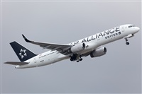 Miguel Alia - Noisy Spotters. Click to see full size photo