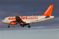 Miguel Alia - Noisy Spotters. Click to see full size photo