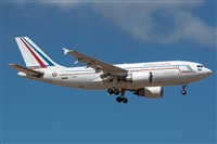 Bartolom Fernndez - Gran Canaria Spotters. Click to see full size photo