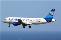 ©Nacho Rodriguez - Canary Islands Spotting. Click to see full size photo ©Nacho Rodriguez - Canary Islands Spotting. Click to see full size photo