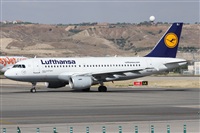 ©Alfonso Solís - Asociación Canary Islands Spotting. Click to see full size photo ©Alfonso Solís - Asociación Canary Islands Spotting. Click to see full size photo