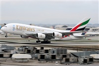 Ana L@dy Spotter. Click to see full size photo