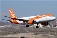 Alfonso Sols - Asociacin Canary Islands Spotting. Click to see full size photo