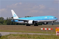 Miguel A. gueda Rguez.  (CANARY ISLANDS SPOTTING). Click to see full size photo