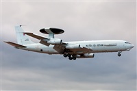 Florencio Martn Melin - Lanzarote Spotters. Haz click para ampliar