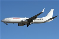 Alfonso Sols - Asociacin Canary Islands Spotting. Haz click para ampliar