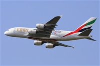 Miguel A. gueda Rguez.  (CANARY ISLANDS SPOTTING). Haz click para ampliar