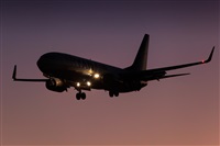 Javier de la Cruz - CANARY ISLANDS SPOTTING. Click to see full size photo