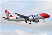 Miguel A. gueda Rguez.  (CANARY ISLANDS SPOTTING). Click to see full size photo