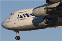 Dr. Alejandro Hndez. Spotters Mexico City. Click to see full size photo