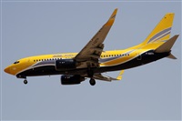 ©Alfonso Solís - Asociación Canary Islands Spotting. Click to see full size photo ©Alfonso Solís - Asociación Canary Islands Spotting. Click to see full size photo