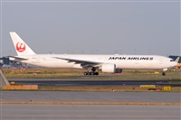 Miguel A. gueda Rguez.  (CANARY ISLANDS SPOTTING). Click to see full size photo