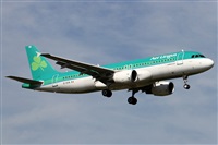 ©Alfonso Solís - Asociación Canary Islands Spotting. Click to see full size photo ©Alfonso Solís - Asociación Canary Islands Spotting. Click to see full size photo