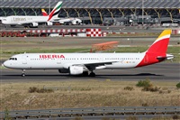 ©Alfonso Solís - Asociación Canary Islands Spotting. Click to see full size photo ©Alfonso Solís - Asociación Canary Islands Spotting. Click to see full size photo