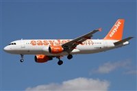 Alfonso Sols - Asociacin Canary Islands Spotting. Click to see full size photo