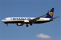 Alfonso Sols - Asociacin Canary Islands Spotting. Click to see full size photo