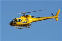 Alfonso Sols - Asociacin Canary Islands Spotting. Haz click para ampliar
