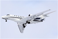 ©Maksimov Maxim - RuSpotters Team. Click to see full size photo ©Maksimov Maxim - RuSpotters Team. Click to see full size photo