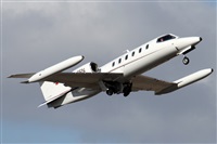 ©Alfonso Solís - Asociación Canary Islands Spotting. Click to see full size photo ©Alfonso Solís - Asociación Canary Islands Spotting. Click to see full size photo