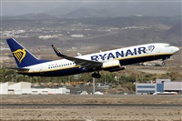 Alfonso Sols - Asociacin Canary Islands Spotting. Click to see full size photo