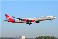 Miguel A. gueda Rguez.  (CANARY ISLANDS SPOTTING). Click to see full size photo