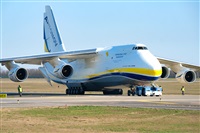 Tams. Click to see full size photo