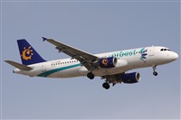 Alfonso Sols - Asociacin Canary Islands Spotting. Click to see full size photo
