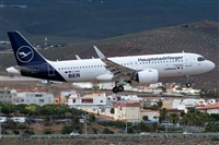 ©Adolfo Bento - Gran Canaria Spotters. Click to see full size photo ©Adolfo Bento - Gran Canaria Spotters. Click to see full size photo