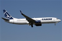 Alfonso Sols - Asociacin Canary Islands Spotting. Click to see full size photo