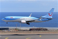 Miguel A. gueda Rguez.  (CANARY ISLANDS SPOTTING). Click to see full size photo
