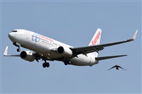 LEBL Spotter. Click to see full size photo