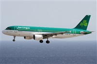 Alfonso Sols - Asociacin Canary Islands Spotting. Click to see full size photo