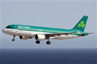 Alfonso Sols - Asociacin Canary Islands Spotting. Haz click para ampliar