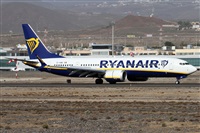 Alfonso Sols - Asociacin Canary Islands Spotting. Click to see full size photo