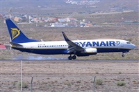 Miguel A. gueda Rguez.  (CANARY ISLANDS SPOTTING). Haz click para ampliar