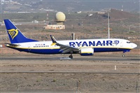 Miguel A. gueda Rguez.  (CANARY ISLANDS SPOTTING). Click to see full size photo