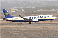 Miguel A. gueda Rguez.  (CANARY ISLANDS SPOTTING). Haz click para ampliar