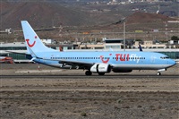 ©Alfonso Solís - Asociación Canary Islands Spotting. Click to see full size photo ©Alfonso Solís - Asociación Canary Islands Spotting. Click to see full size photo