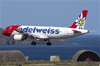 ©Adolfo Bento - Gran Canaria Spotters. Click to see full size photo ©Adolfo Bento - Gran Canaria Spotters. Click to see full size photo