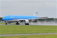 Miguel A. gueda Rguez.  (CANARY ISLANDS SPOTTING). Click to see full size photo