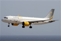 ©Alfonso Solís - Asociación Canary Islands Spotting. Click to see full size photo ©Alfonso Solís - Asociación Canary Islands Spotting. Click to see full size photo