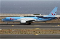 Alfonso Sols - Asociacin Canary Islands Spotting. Haz click para ampliar