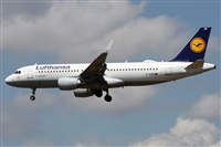 Alfonso Sols - Asociacin Canary Islands Spotting. Haz click para ampliar