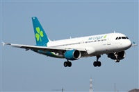 ©Alfonso Solís - Asociación Canary Islands Spotting. Click to see full size photo ©Alfonso Solís - Asociación Canary Islands Spotting. Click to see full size photo