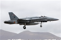 Adrin Alonso Lemes - Lanzarote Spotters. Haz click para ampliar
