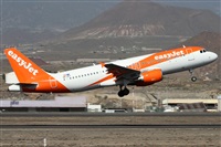 ©Alfonso Solís - Asociación Canary Islands Spotting. Click to see full size photo ©Alfonso Solís - Asociación Canary Islands Spotting. Click to see full size photo