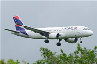 Miguel A. gueda Rguez.  (CANARY ISLANDS SPOTTING). Haz click para ampliar