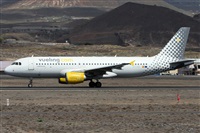 ©Alfonso Solís - Asociación Canary Islands Spotting. Click to see full size photo ©Alfonso Solís - Asociación Canary Islands Spotting. Click to see full size photo