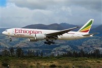 Diogo da Conceio. Click to see full size photo