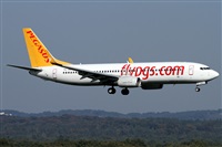 Daniel Schwinn. Haz click para ampliar